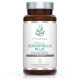 Acidophilus Plus 